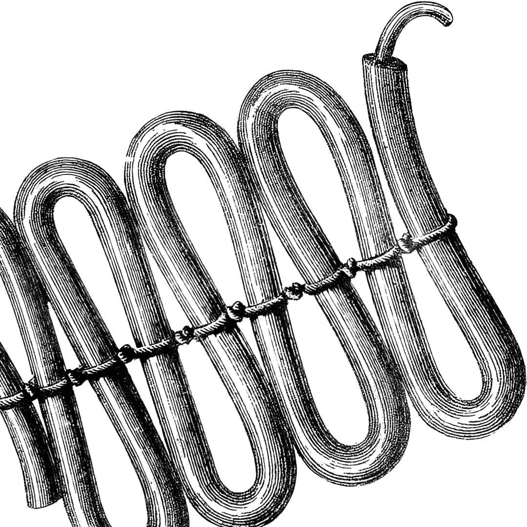 Rückblick 2024: Fachhandel für Feuerwerk registriert steigende Nachfrage